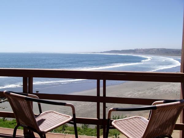 Pingueino En La Roca - Lodge Vina del Mar Exterior foto