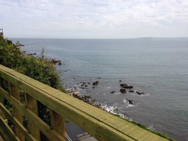 Pingueino En La Roca - Lodge Vina del Mar Exterior foto