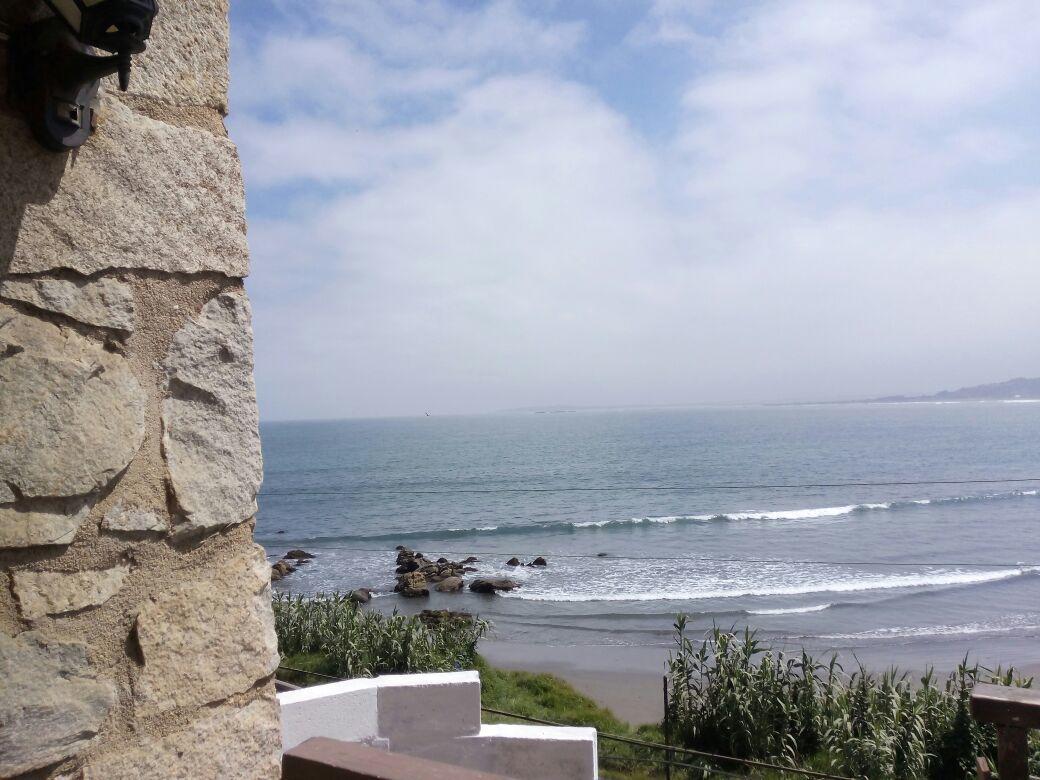 Pingueino En La Roca - Lodge Vina del Mar Exterior foto