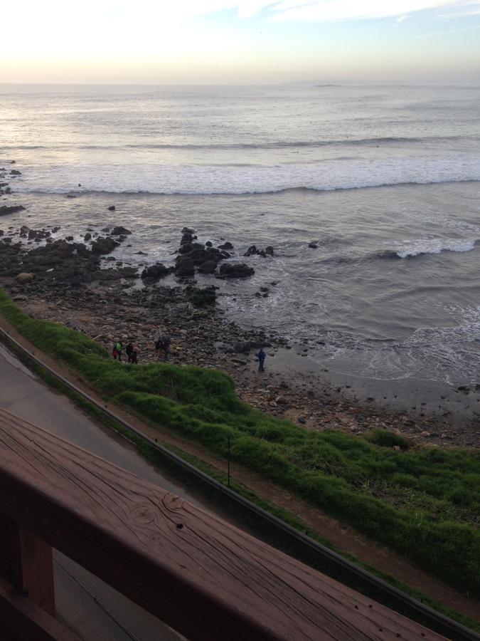 Pingueino En La Roca - Lodge Vina del Mar Exterior foto