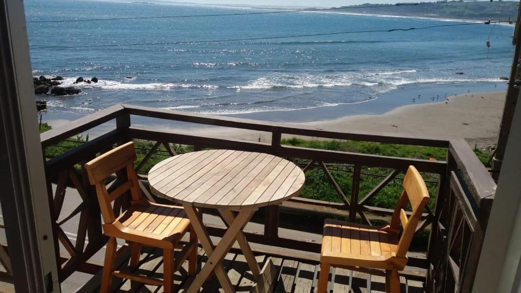 Pingueino En La Roca - Lodge Vina del Mar Exterior foto